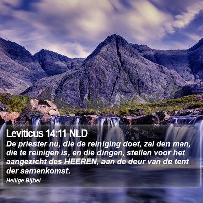 Leviticus 14:11 NLD Bible Verse Image