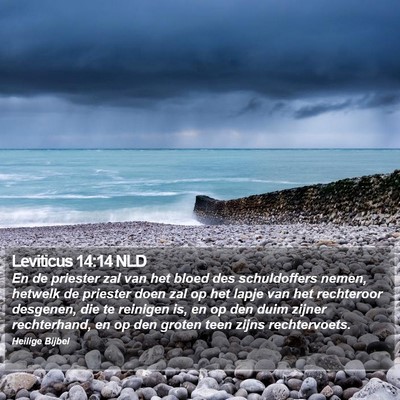 Leviticus 14:14 NLD Bible Verse Image