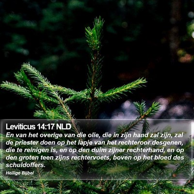 Leviticus 14:17 NLD Bible Verse Image