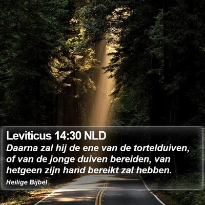 Leviticus 14:30 NLD Bible Verse Image