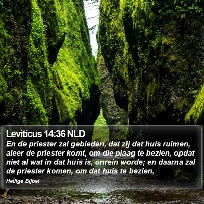 Leviticus 14:36 NLD Bible Verse Image
