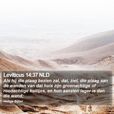 Leviticus 14:37 NLD Bible Verse Image