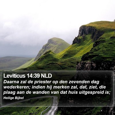 Leviticus 14:39 NLD Bible Verse Image