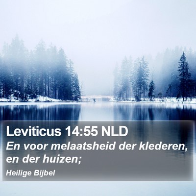 Leviticus 14:55 NLD Bible Verse Image