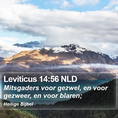 Leviticus 14:56 NLD Bible Verse Image