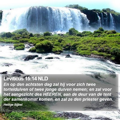 Leviticus 15:14 NLD Bible Verse Image
