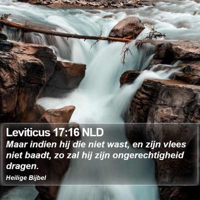 Leviticus 17:16 NLD Bible Verse Image