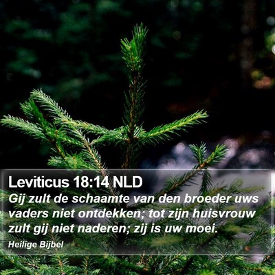 Leviticus 18:14 NLD Bible Verse Image