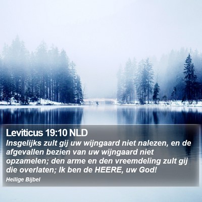 Leviticus 19:10 NLD Bible Verse Image