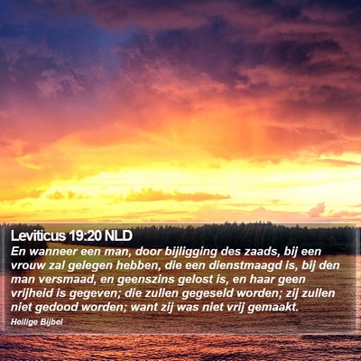 Leviticus 19:20 NLD Bible Verse Image