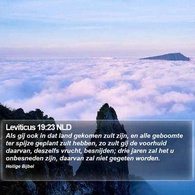 Leviticus 19:23 NLD Bible Verse Image