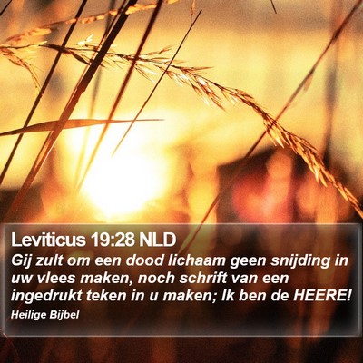 Leviticus 19:28 NLD Bible Verse Image