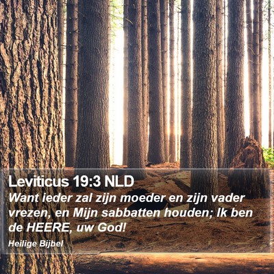 Leviticus 19:3 NLD Bible Verse Image