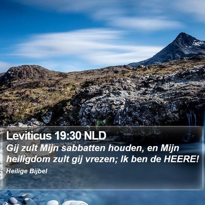Leviticus 19:30 NLD Bible Verse Image