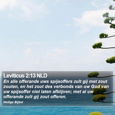 Leviticus 2:13 NLD Bible Verse Image