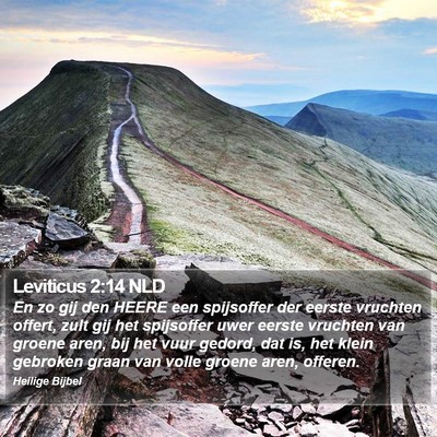 Leviticus 2:14 NLD Bible Verse Image