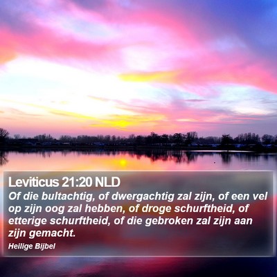 Leviticus 21:20 NLD Bible Verse Image