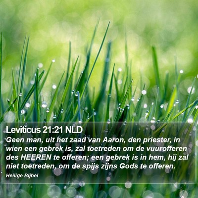 Leviticus 21:21 NLD Bible Verse Image
