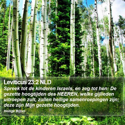 Leviticus 23:2 NLD Bible Verse Image