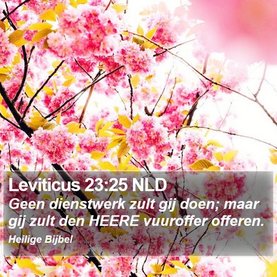 Leviticus 23:25 NLD Bible Verse Image