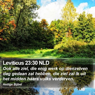 Leviticus 23:30 NLD Bible Verse Image