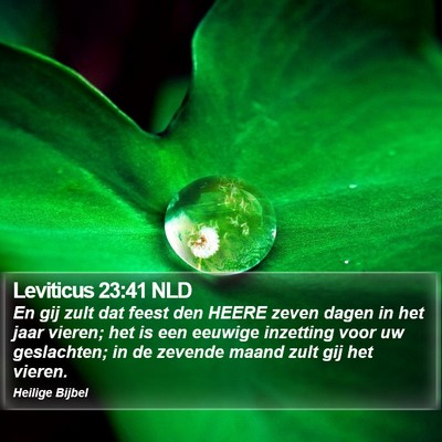 Leviticus 23:41 NLD Bible Verse Image