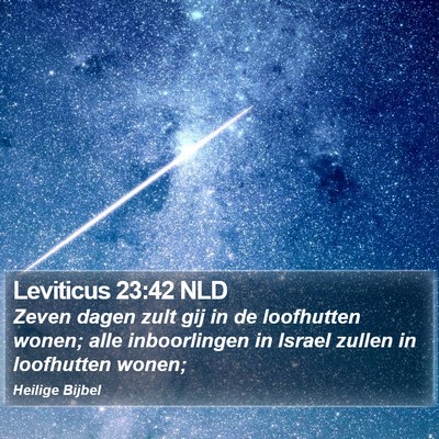 Leviticus 23:42 NLD Bible Verse Image