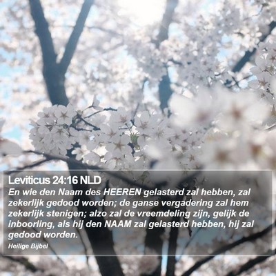 Leviticus 24:16 NLD Bible Verse Image
