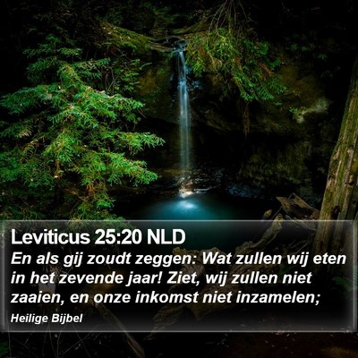 Leviticus 25:20 NLD Bible Verse Image