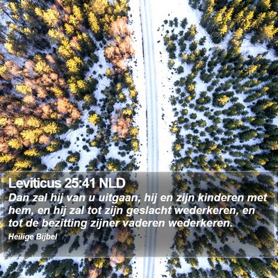Leviticus 25:41 NLD Bible Verse Image