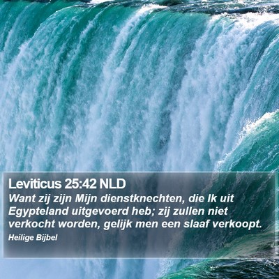 Leviticus 25:42 NLD Bible Verse Image