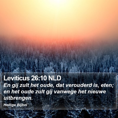 Leviticus 26:10 NLD Bible Verse Image