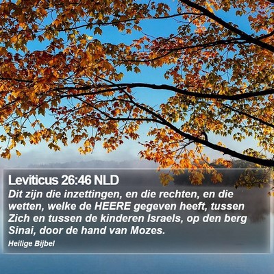 Leviticus 26:46 NLD Bible Verse Image