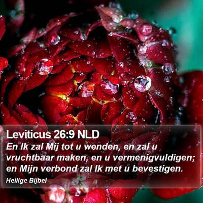 Leviticus 26:9 NLD Bible Verse Image