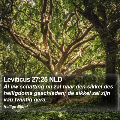 Leviticus 27:25 NLD Bible Verse Image