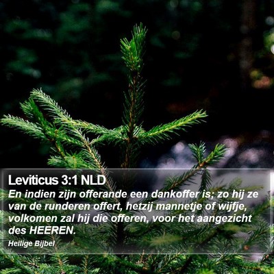 Leviticus 3:1 NLD Bible Verse Image