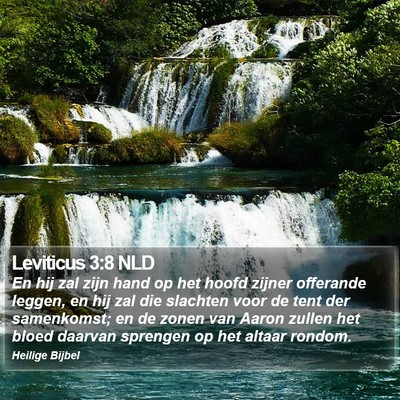Leviticus 3:8 NLD Bible Verse Image