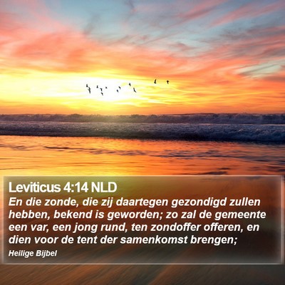 Leviticus 4:14 NLD Bible Verse Image
