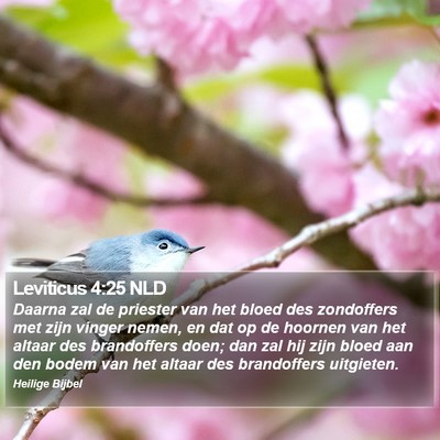 Leviticus 4:25 NLD Bible Verse Image
