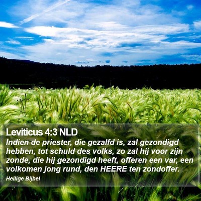 Leviticus 4:3 NLD Bible Verse Image