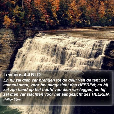 Leviticus 4:4 NLD Bible Verse Image