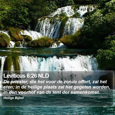 Leviticus 6:26 NLD Bible Verse Image