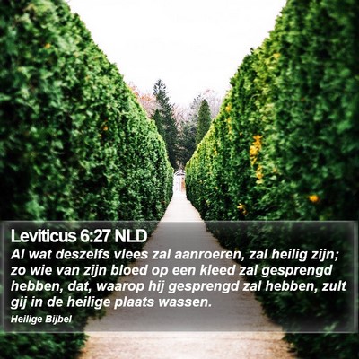 Leviticus 6:27 NLD Bible Verse Image