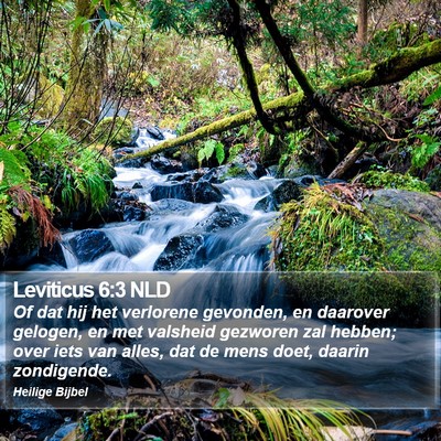Leviticus 6:3 NLD Bible Verse Image