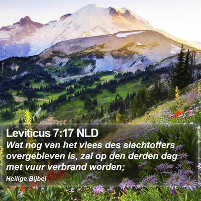 Leviticus 7:17 NLD Bible Verse Image