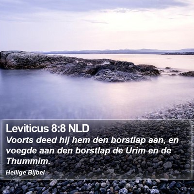 Leviticus 8:8 NLD Bible Verse Image