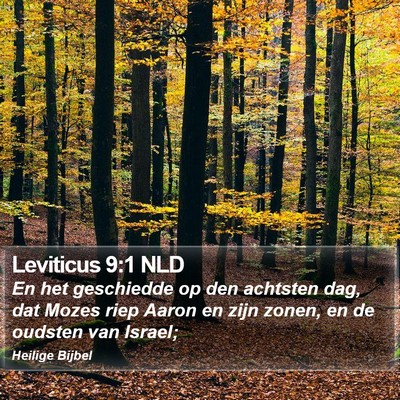Leviticus 9:1 NLD Bible Verse Image