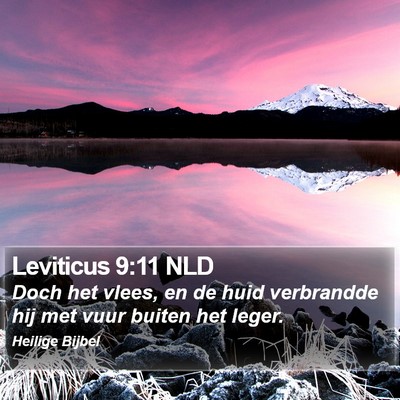 Leviticus 9:11 NLD Bible Verse Image