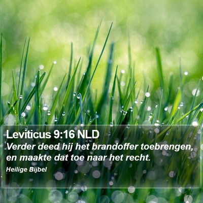 Leviticus 9:16 NLD Bible Verse Image