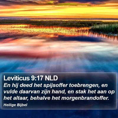 Leviticus 9:17 NLD Bible Verse Image
